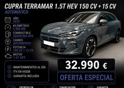 Cupra Terramar